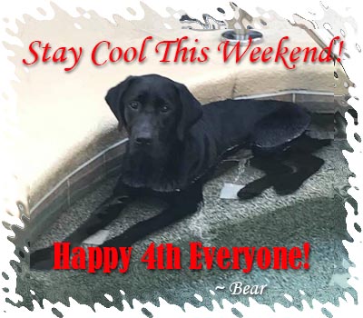 Bear Wishes You a Happy Holiday Weekend!