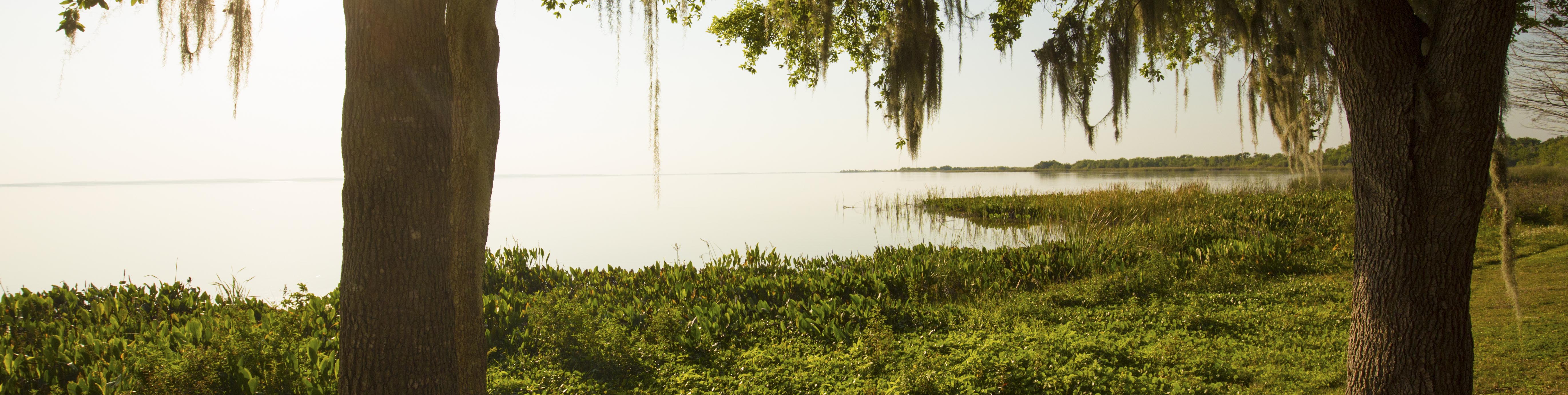 Lake Apopka the 4th Largest Lake in Florida 