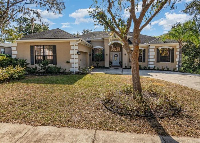 6689 BELL GLADE