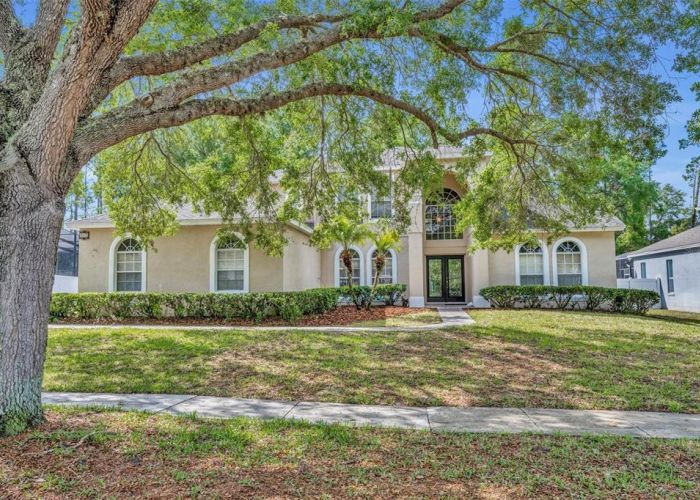 353 MEADOW BEAUTY