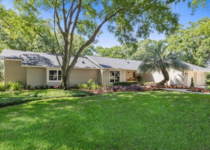 6054 TARAWOOD