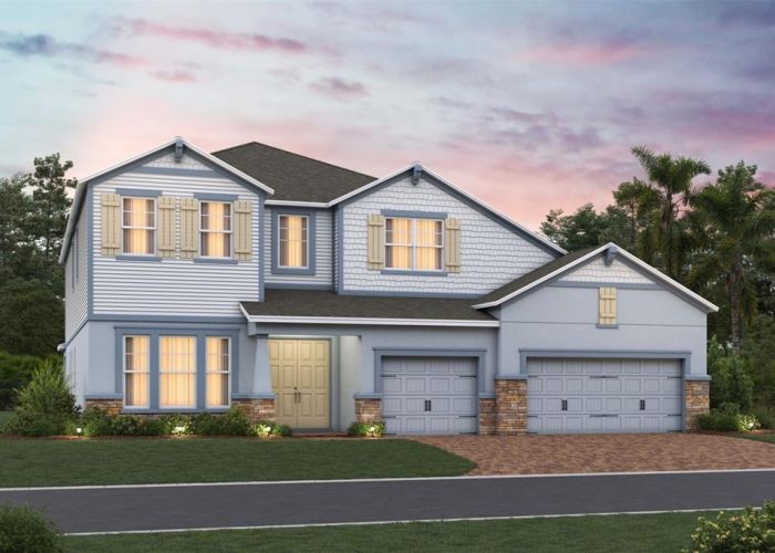 455 LADY PALM
