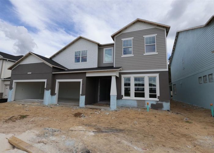 455 LADY PALM
