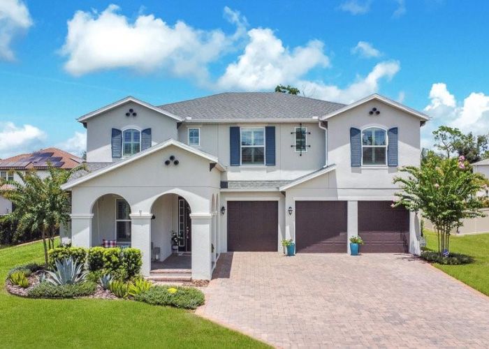 699 PRIMROSE WILLOW