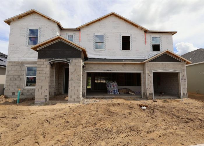 413 LADY PALM