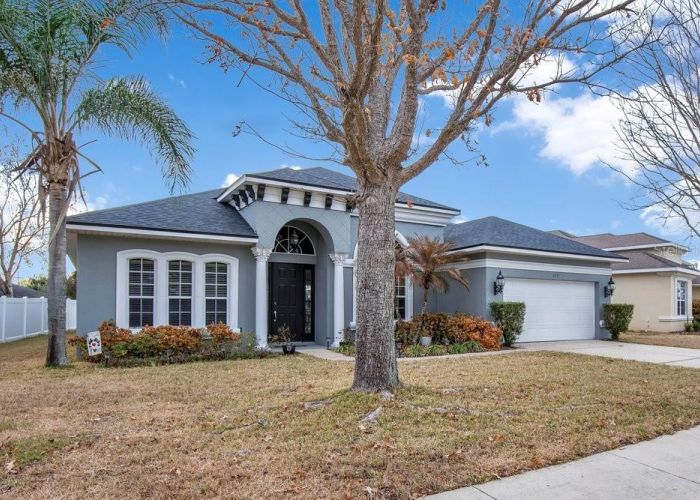 353 HAMMOCK OAK