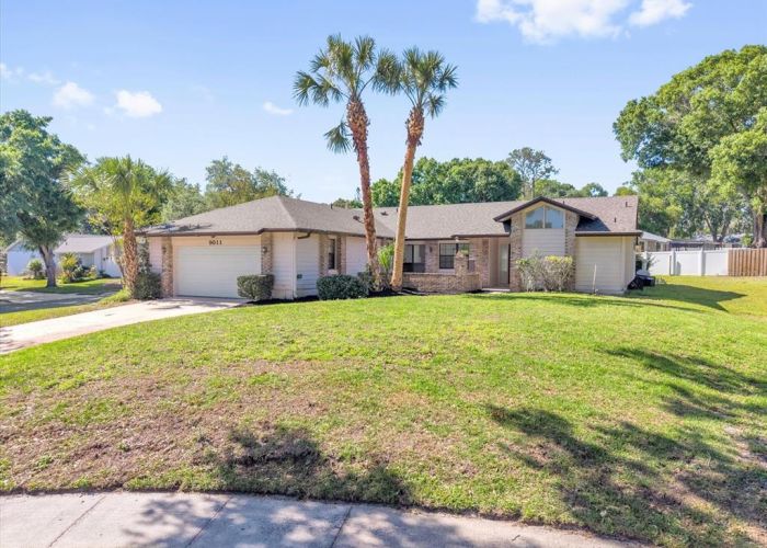 9011 CHAPMAN OAK