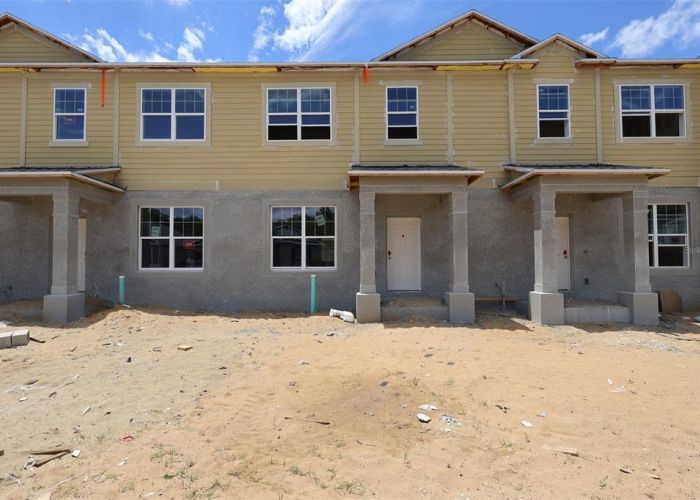 474 LADY PALM