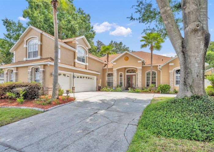 2518 EMERALD TREE