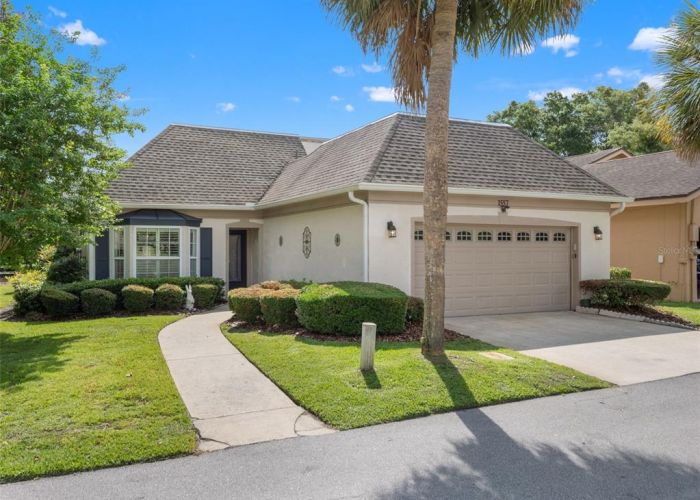 1557 OAK TREE