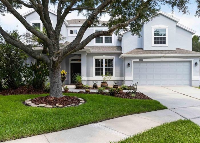 10157 SHALLOW MARSH