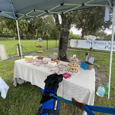 Pawfection Therapy Dog Training Graduation 2020