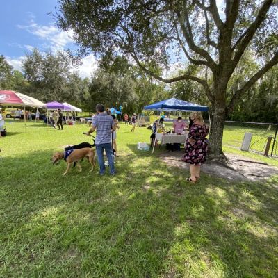 Pawfection Therapy Dog Training Graduation 2020