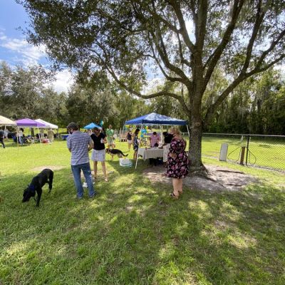 Pawfection Therapy Dog Training Graduation 2020